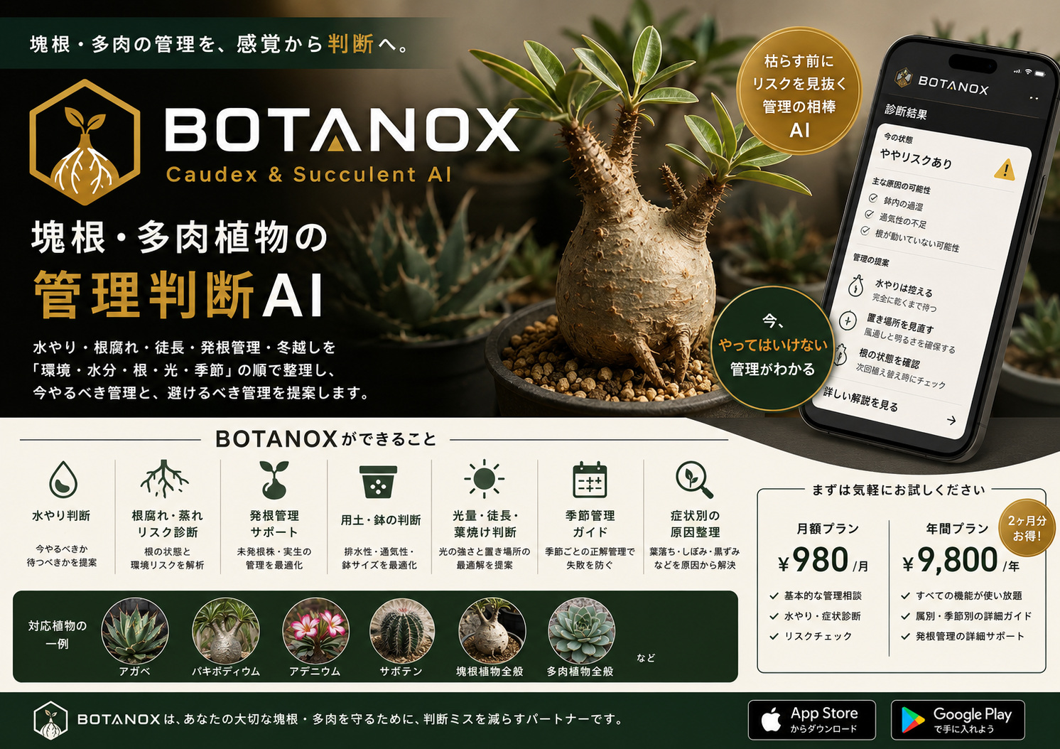 BOTANOX — 塊根・多肉の管理を、感覚から判断へ。